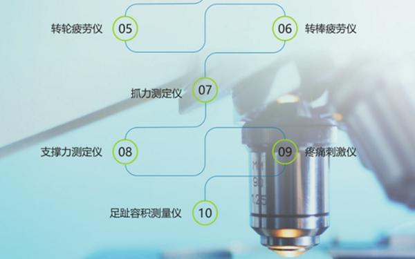 动物实验